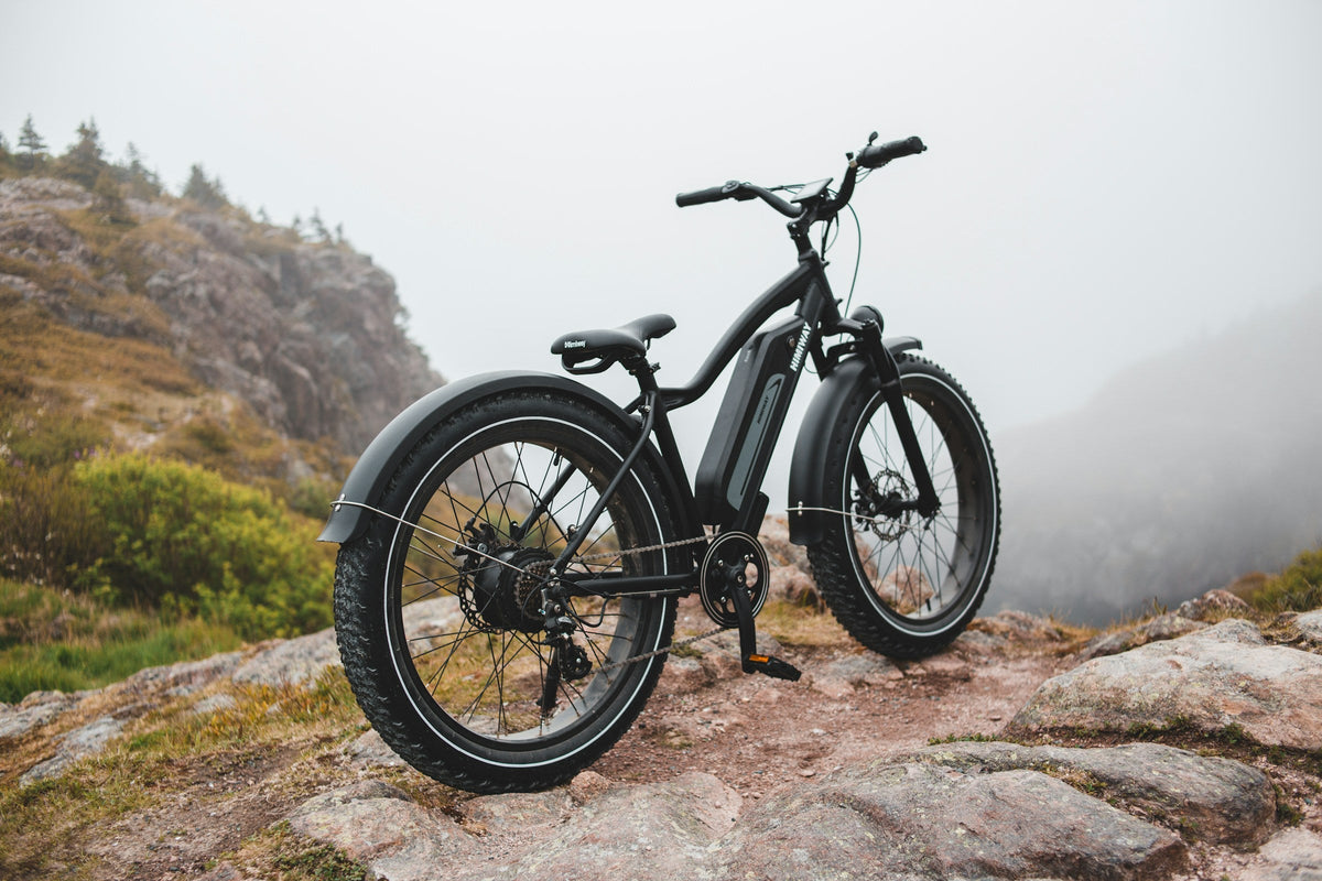 Electric Bikes